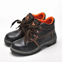 Safety Boots